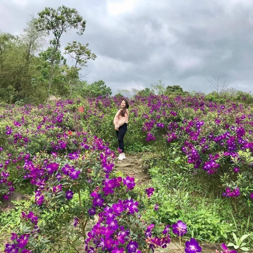 Pu Luong Cuisine Garden Homestay Lang Bang Eksteriør bilde